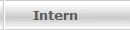 Intern