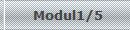 Modul1/5